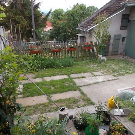 U Babicky A Jeji Psi Smecky Guest House Veselicko Exterior photo